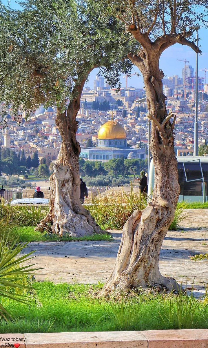 freemonotheist's tweet photo. The capital of #Palestine https://t.co/unLXtyPK4T