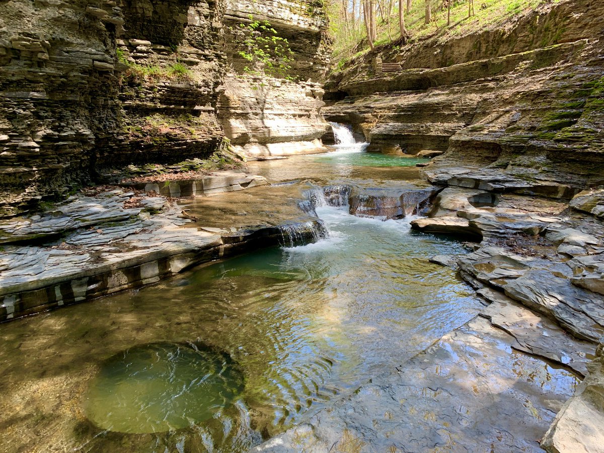 gofingerlakes tweet picture
