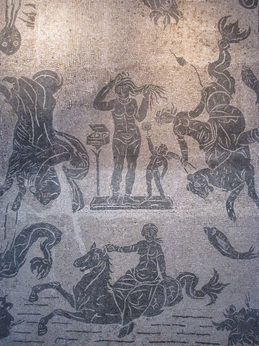 #MosaicMonday: A detail from a mosaic featuring Venus and Eros surrounded by various sea creatures and Nereids. Found near the Porta Salaria in #Rome. Late 2nd/early 3rd century CE. Museo Nazionale Romano, Palazzo Massimo alle Terme.

#Archaeology #RomanArchaeology #Italy