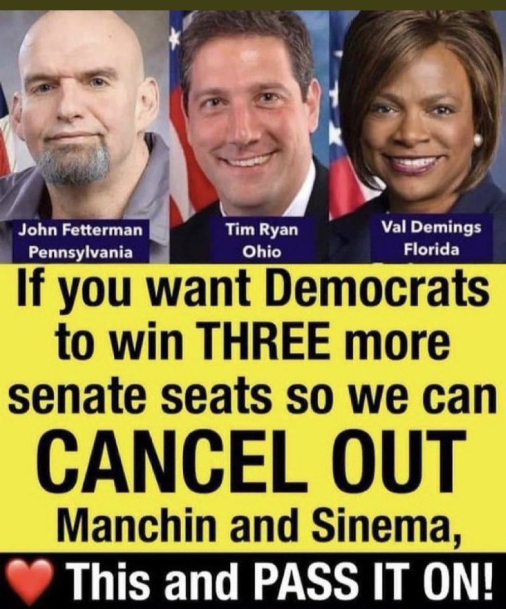 1shermoore's tweet image. No one said it is going to be easy, but we can grab 'em by the ballots and take back our Democracy.

  VOTE  FOR- 

John Fetterman - Pennsylvania

Tim Ryan- Ohio

Val Demings- Florida

That will give Democrats 3 SOLlD SENATE SEATS

#VoteBlueIn2022 
#DemVoice1