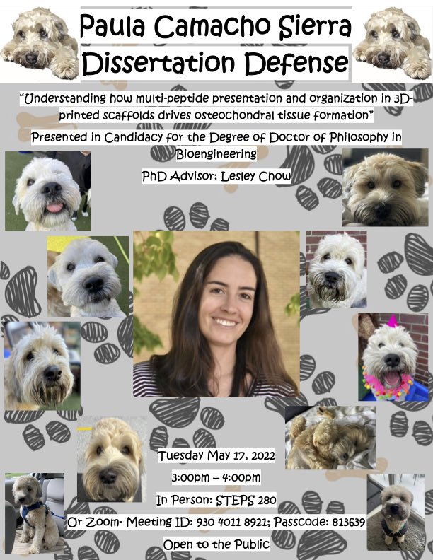 Thrilled to announce @Paula_CamachoS is defending on Tues 5/17 at 3 pmET! Defense is open to the public in-person &amp; via Zoom. Details👇👇👇We made fun posters to advertise so hope you enjoy them as much as we did making them😂 <a href="/LehighBioE/">Lehigh Bioengineering</a> <a href="/lehighengineers/">Lehigh Engineers</a> <a href="/LehighU/">Lehigh University</a> <a href="/LehighResearch/">Lehigh Research</a>