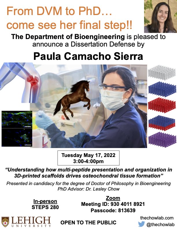 The Chow Lab tweet media