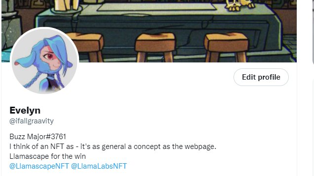 ifallgraavity's tweet photo. @LlamascapeNFT Done! https://t.co/8JlzZejIKp