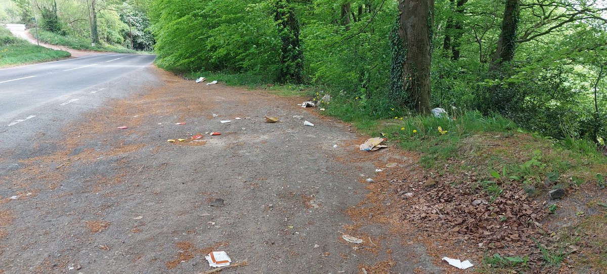 sdc_wardens's tweet photo. What a load of Rubbish 😠😠

Frasier is not impressed with food wrappers at this layby in #Painswick.

Quick clear up and reported for  collection

Please don't toss waste out your car window; Find a bin or take it home with you. #DontBeATosser #FlyTipping https://t.co/Lckp0gT0Rb