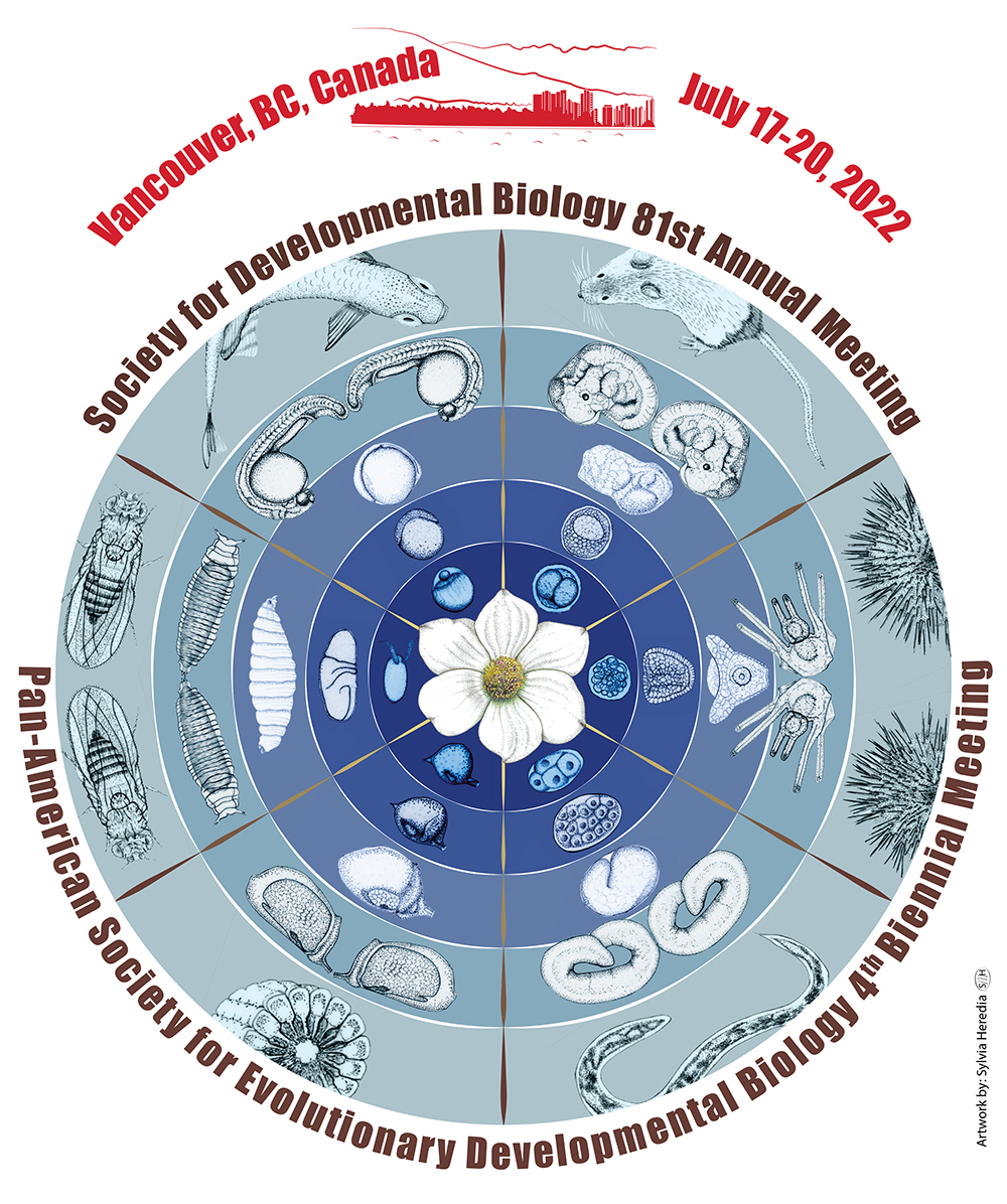Society for Developmental Biology (@socdevbio) on Twitter photo Today, Monday, May 9 is the early-discounted registration deadline for the Joint <a href="/SocDevBio/">Society for Developmental Biology</a> <a href="/EvoDevoPanAm/">EvoDevo PanAm</a> Meeting July 17-20, 2022 in Vancouver. Register by 11:59 pm ET Today! #2022SDB #EvoDevo2022 bit.ly/3oYpCjh Today, Monday, May 9 is the early-discounted registration deadline for the Joint <a href="/SocDevBio/">Society for Developmental Biology</a> <a href="/EvoDevoPanAm/">EvoDevo PanAm</a> Meeting July 17-20, 2022 in Vancouver. Register by 11:59 pm ET Today! #2022SDB #EvoDevo2022 bit.ly/3oYpCjh