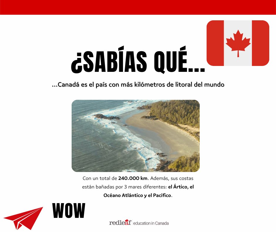 Red_Leaf_Spain's tweet photo. IT'S MONDAY #RLFunFacts 🇨🇦🤔
Monday de... DATOS CURIOSOS 🤟🏼
#RedLeaf #FunFact #Canada https://t.co/YrwLxKe9DS
