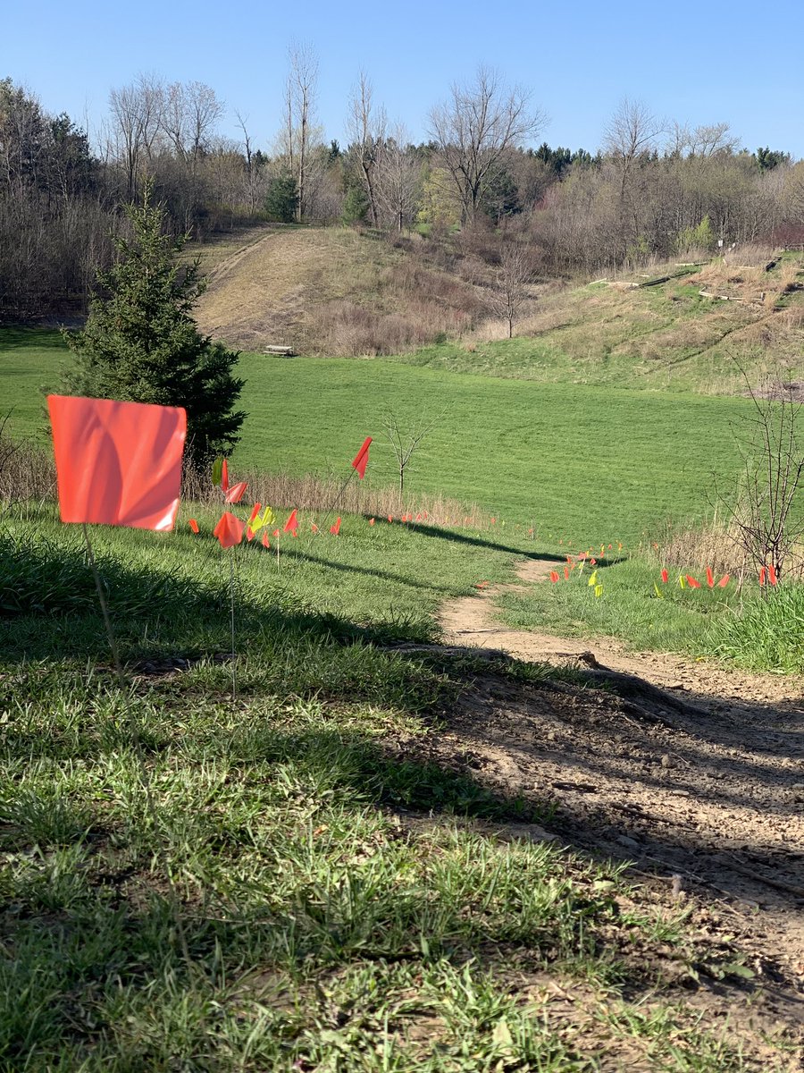 E Miller tweet media