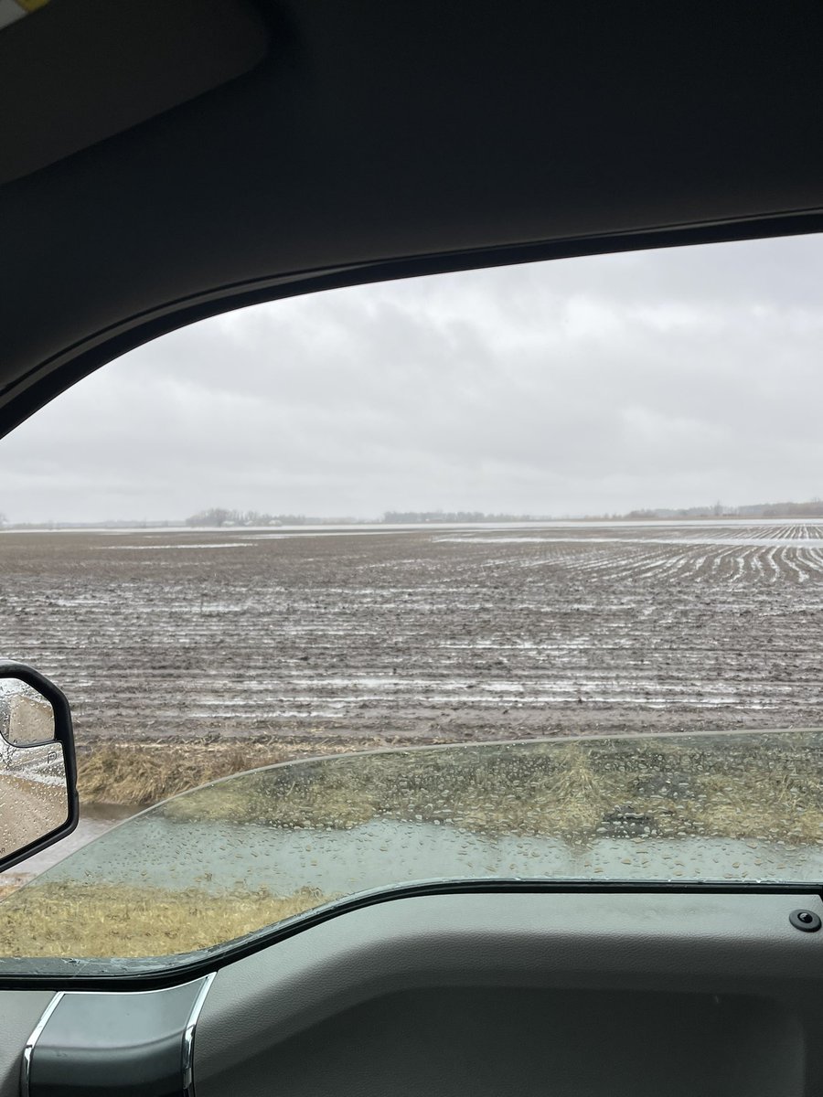 Logan J. O'Neill tweet media