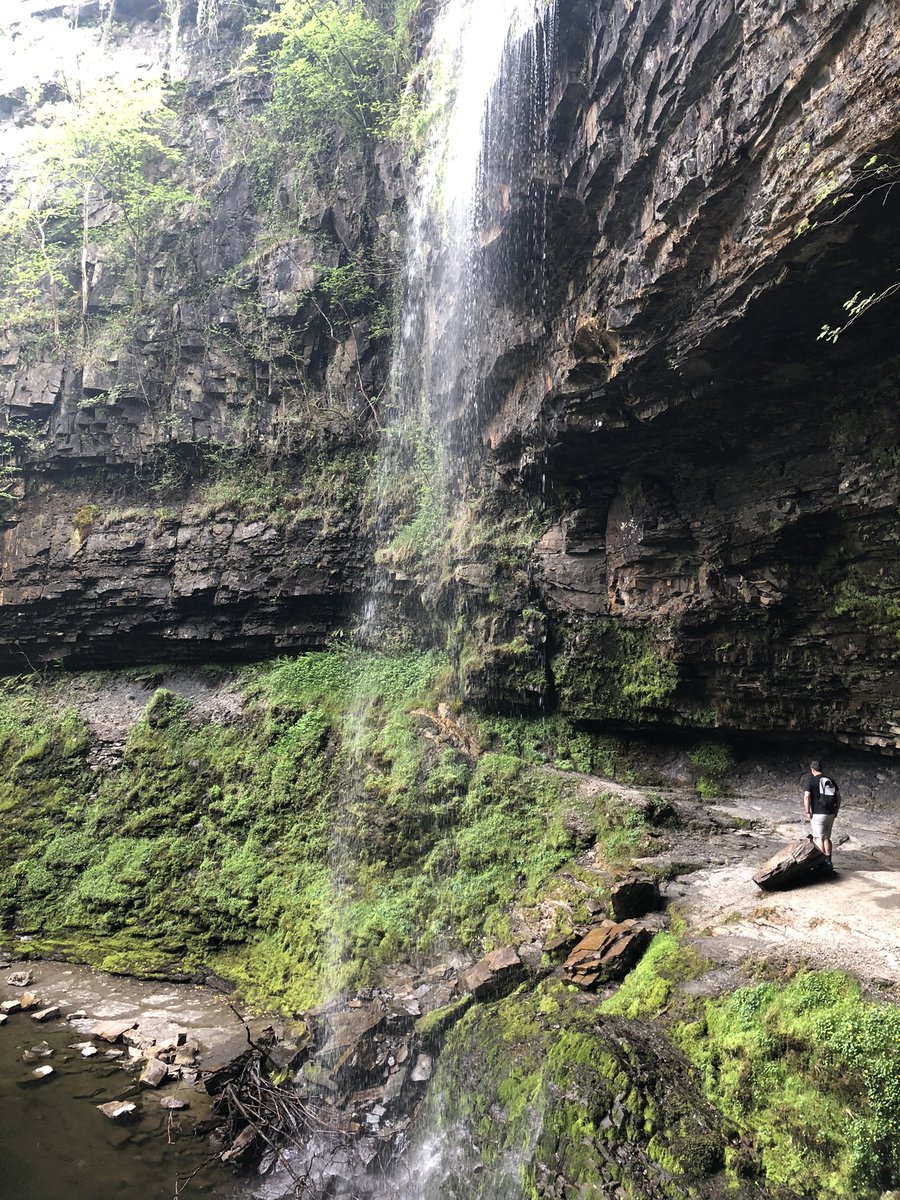 Lucy Reynolds tweet media