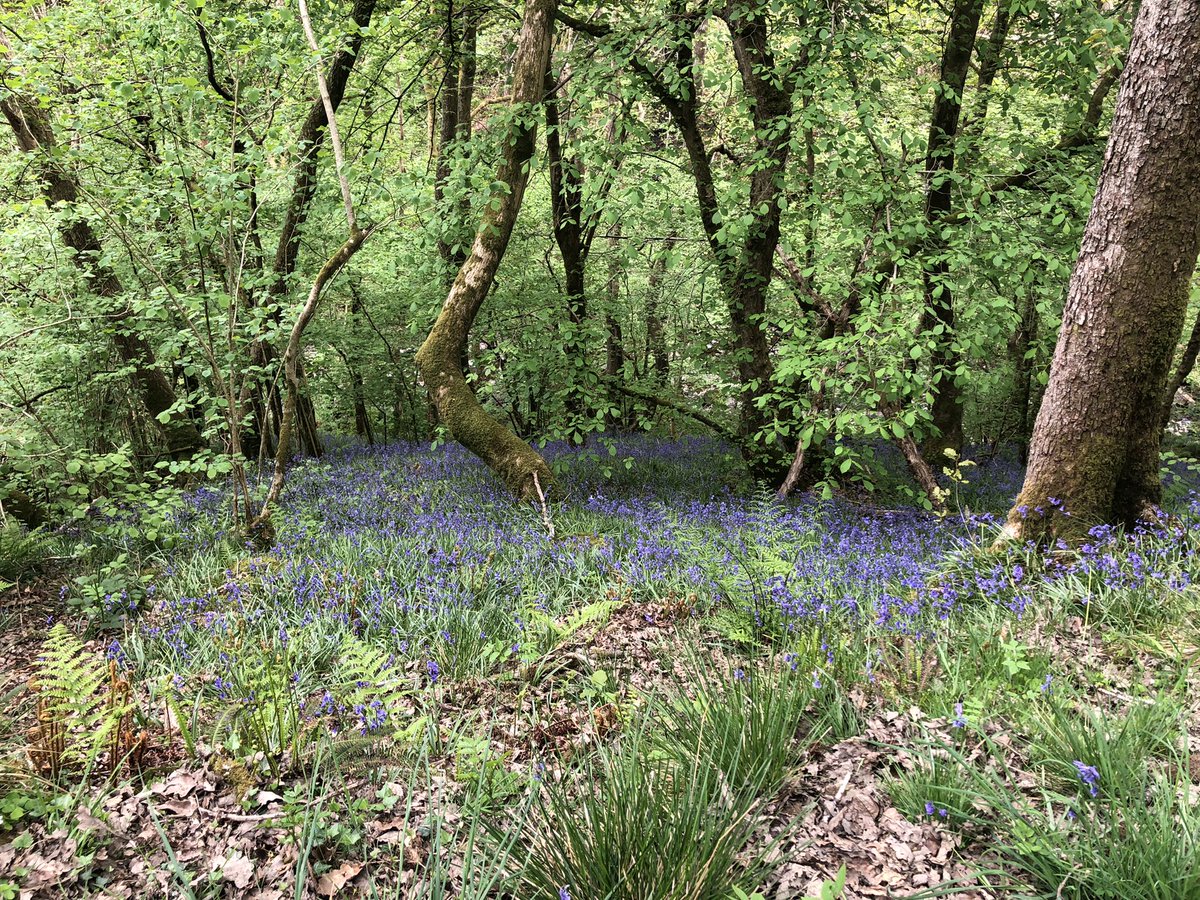 Lucy Reynolds tweet media