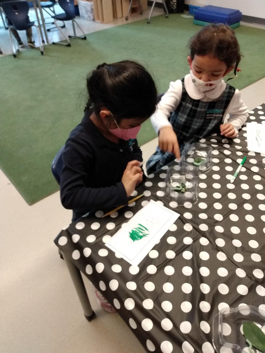 JK Students @LS_STEAM_GWACHI learned about plants being a habitat for insects! We also learned that some insects eat parts of their plant habitat. Students observed hornworms and created simple sketches.