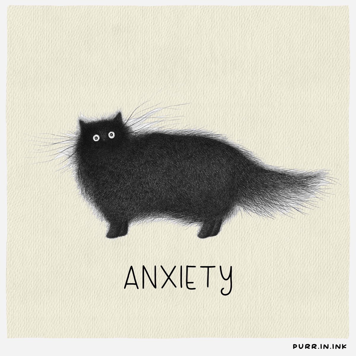 #CatsOfTwitter #anxiety