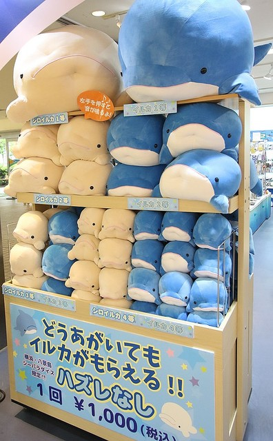 どうあがいてもイルカがもらえる 確定ガチャが話題 引いた人の感想 他の 確定ガチャ が引ける水族館などをまとめました Togetter