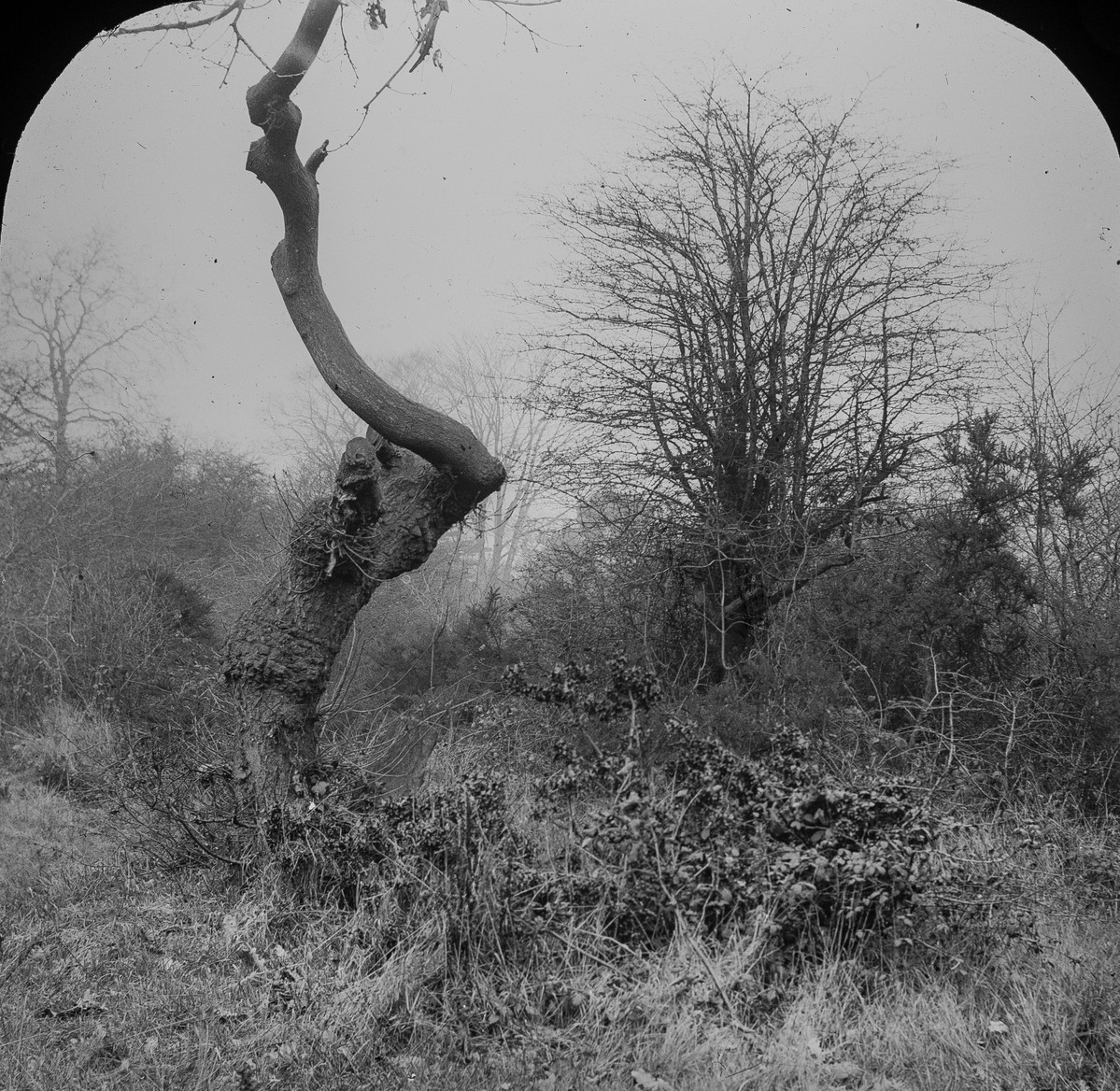 The Museum of English Rural Life tweet media