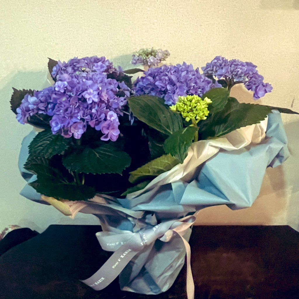 catlady_s's tweet photo. 金、土、日の3日間、お花屋さんで、母の日のお手伝いしました。ご褒美に立派な紫陽花✨をいただきました✨
#母の日お手伝い
#お花屋さん
#Fleu' d KAR I N https://t.co/Ee8lFhpHAX