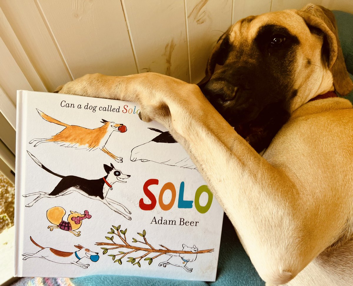 _lufraser's tweet photo. 1st on my 📚 pile is ‘Solo’ by #AdamBeer ( 🙏🏼 @simonkids_UK !). Cover-to-cover filled with dogs (already a winner for me!), I love the underlying structure, the 1st dog narrative & the wonderfully fresh illustrations (plus there’s a lovely message, too). Lola gave it a big 👍🏻😊 https://t.co/rqbSwLE7Ab