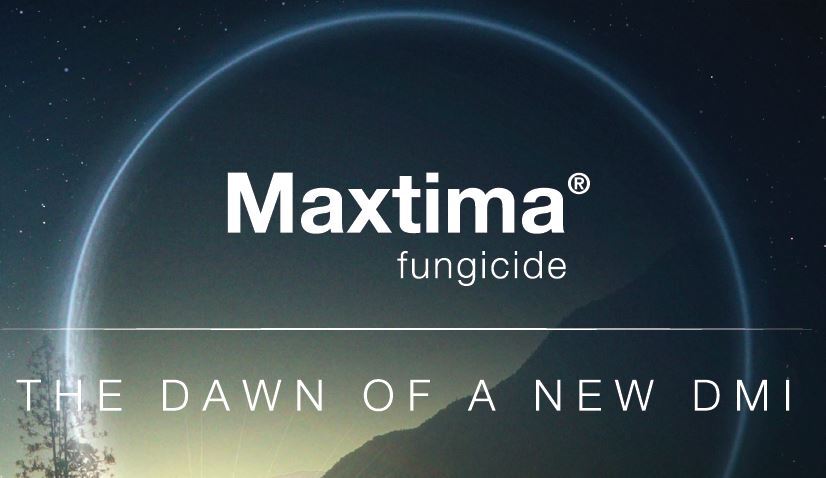 BASF_Turf_CA's tweet image. Maxtima rocked your world with its dollar spot and anthracnose control. Discover what it can do for patch disease control  #Take-allPatch #SummerPatch #FairyRing

in.basf.com/13y8wyu