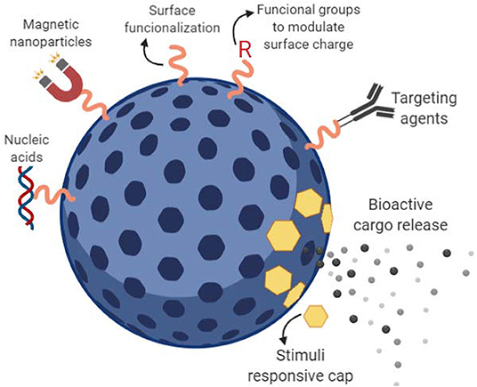 Frontiers - Bioengineering and Biotechnology tweet media