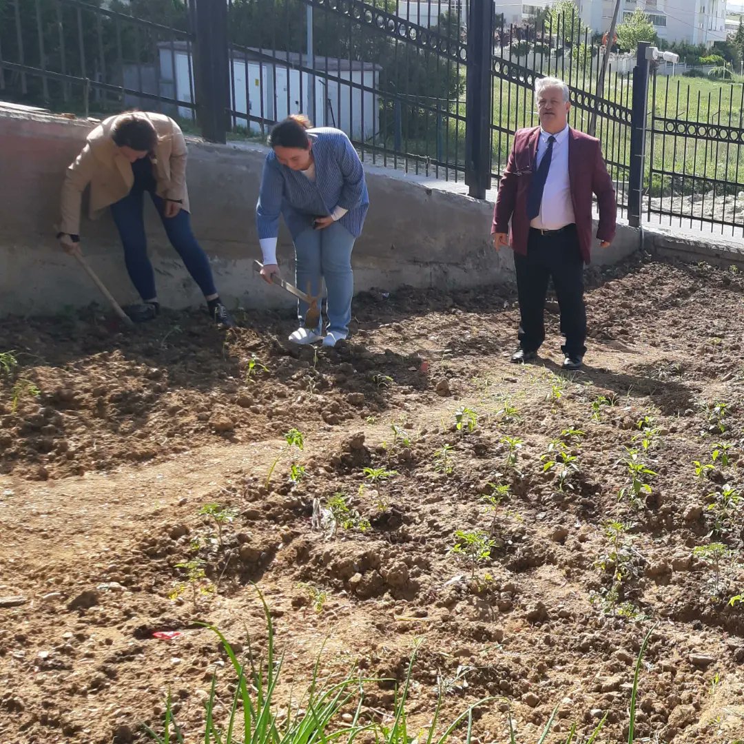 avcilarsultana1's tweet photo. Avcılar Sultan Alparslan Ilkokulu ve Anaokulu öğrencilerimizin daha çok  doğayla iç içe olmasını sağlamak  amacıyla, okulumuzun bahçe bölümündeki  ekilebilir alanlarında okul idaresi olarak planlama yapıldı.
@tcmeb @istanbulilmem @avcilarilcemem https://t.co/yu9uSgu96W
