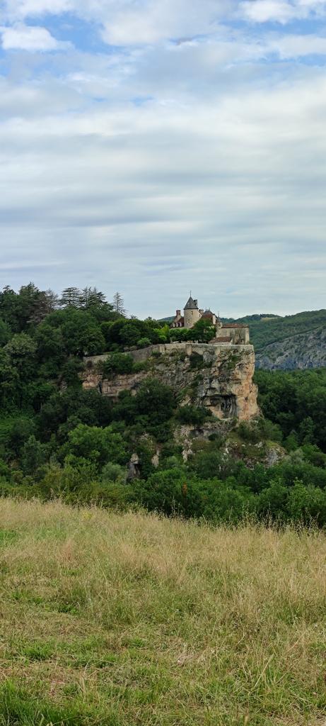 william voyage🧭 tweet media