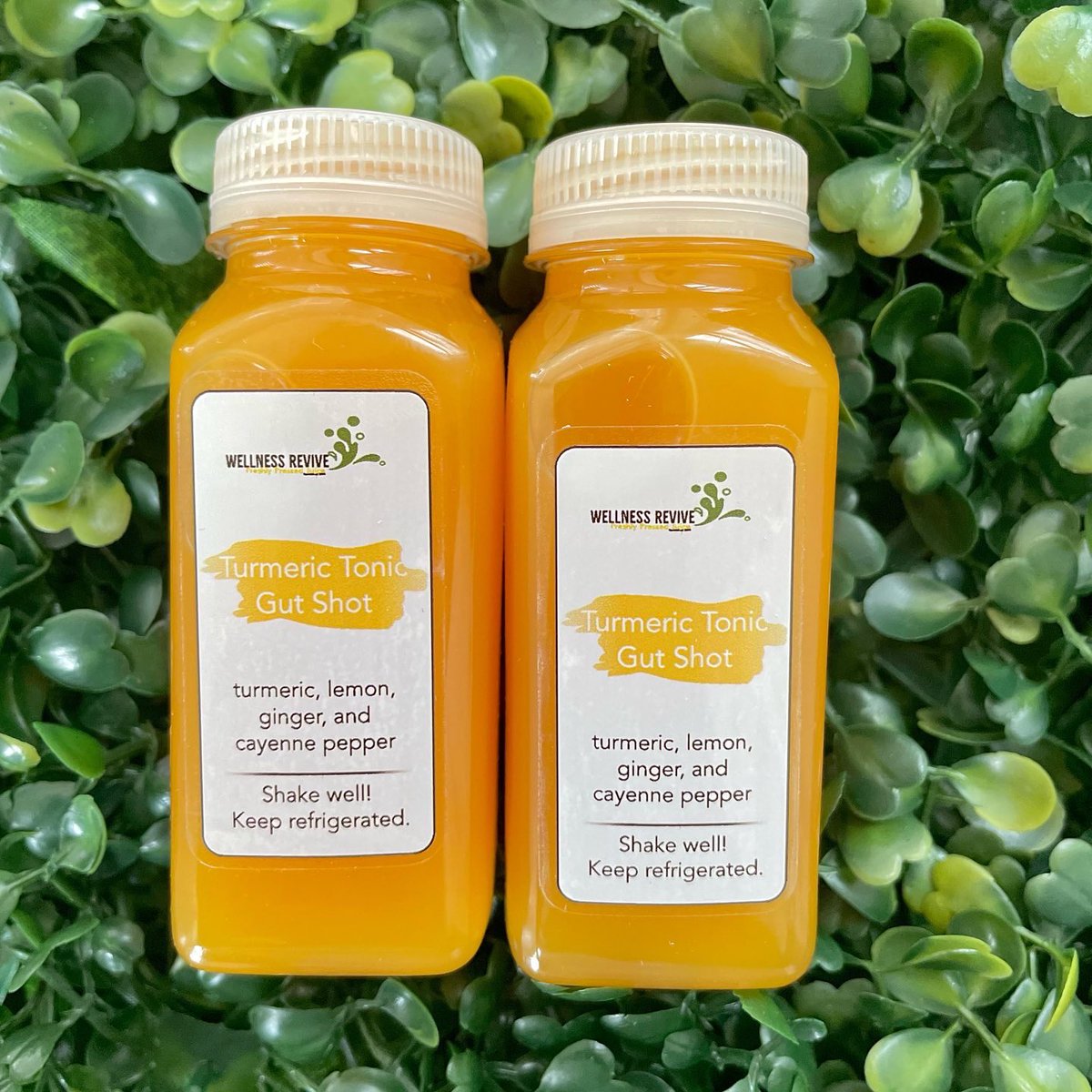 WellnessRevive1's tweet photo. Happy Monday! ☺️💚 remember juicing daily can decrease 8-10 pounds of excess gut waste! Choose the fresh pressed! #Itsalifestyle https://t.co/Hfj1KzkK47