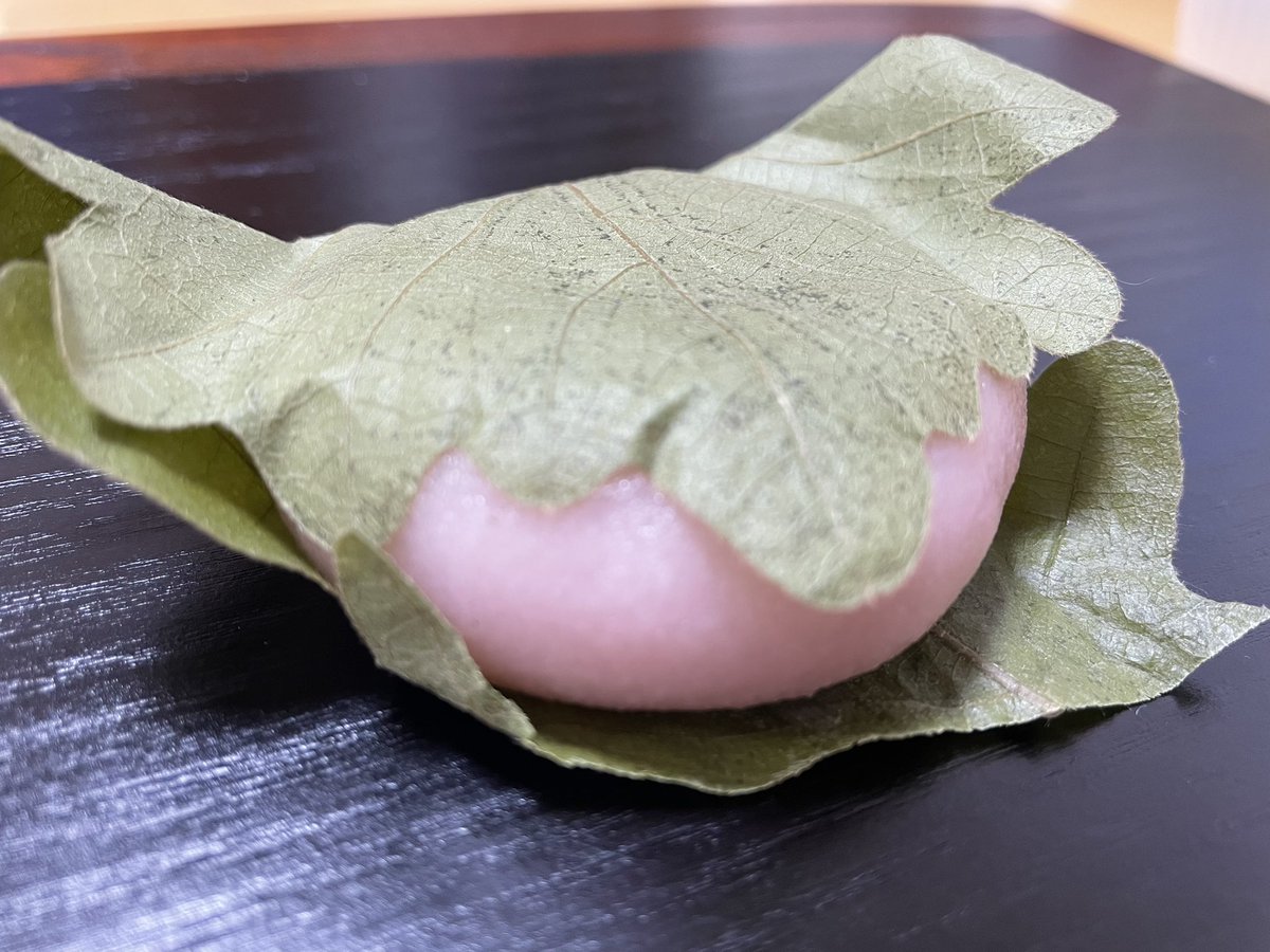 erabilog's tweet photo. 柏餅の季節ですね。
圧倒的に味噌派です。
#スイーツ #和スイーツ #スイーツ女子 #スイーツ男子 #柏餅 #柏餅はみそあん派 #和菓子 #みそあん #sweets #japanesesweets #フォロー返します https://t.co/jemC2fHiSk