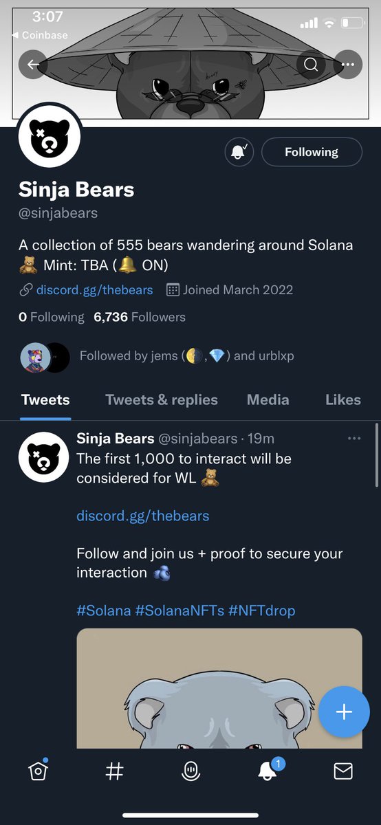 pixeljefff's tweet photo. @sinjabears Let’s gooooo 🐻‍❄️🐻 https://t.co/lUP0gKm9eW