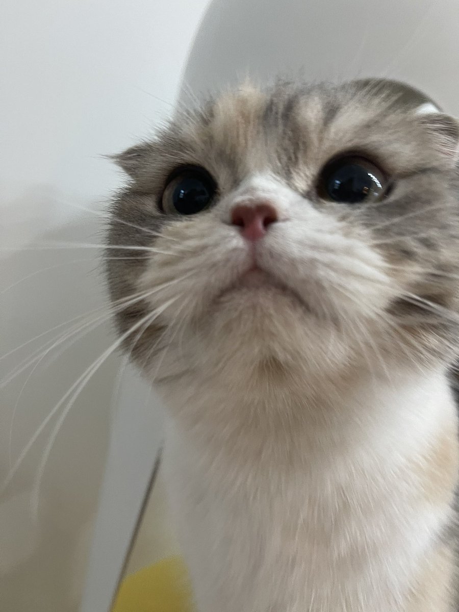 ไม่ได้อ้วงแค่พร้อมเพียงเรื่องความสมบูรณ์😎