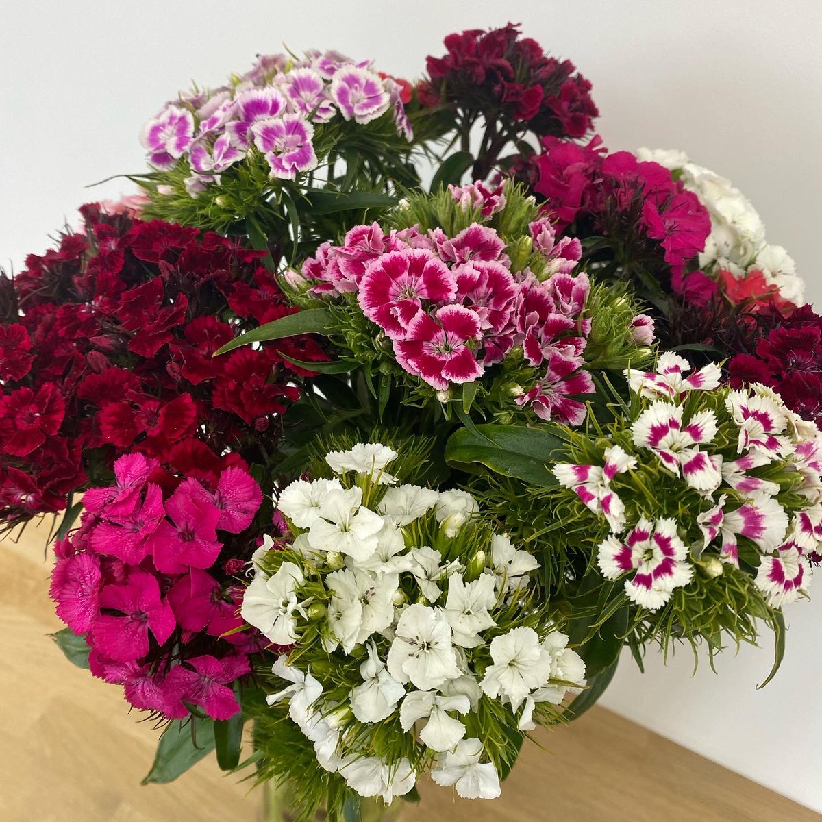 The sun is shining ☀️ and Sweet Williams season has started here at Naylor Flowers!!
#sweetwilliam #springsummer2022 #lincolnshire #flowers