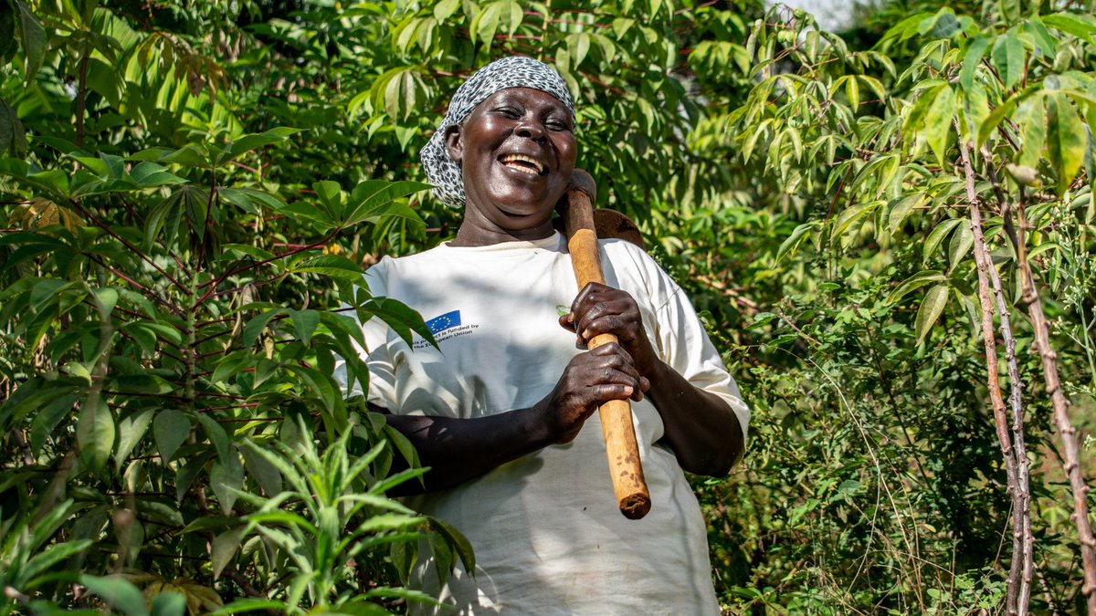 On #EuropeDay, we'd like to acknowledge the support of the #EuropeanUnion for our work in sub-Saharan Africa - including for two amazing challenge funds that have created thousands of jobs &amp; access to new markets for tens of thousands of farming households in Kenya &amp; Zambia.