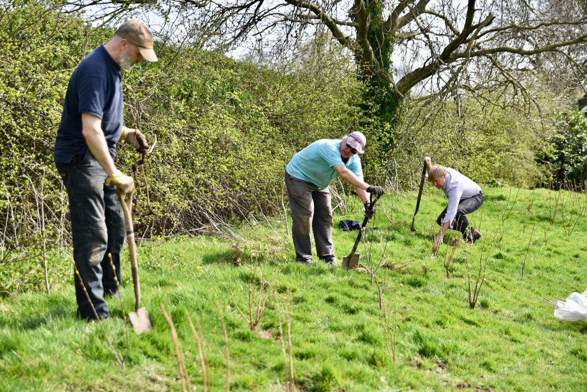 merseyforest's tweet photo. If you have space to plant trees we'd love to offer support! Landowners - now is the time to get in touch for planting next winter📩mail@merseyforest.org.uk #MoreFromTrees #EnglandsCommunityForests #TreesForClimate https://t.co/YGVQZB6LhQ