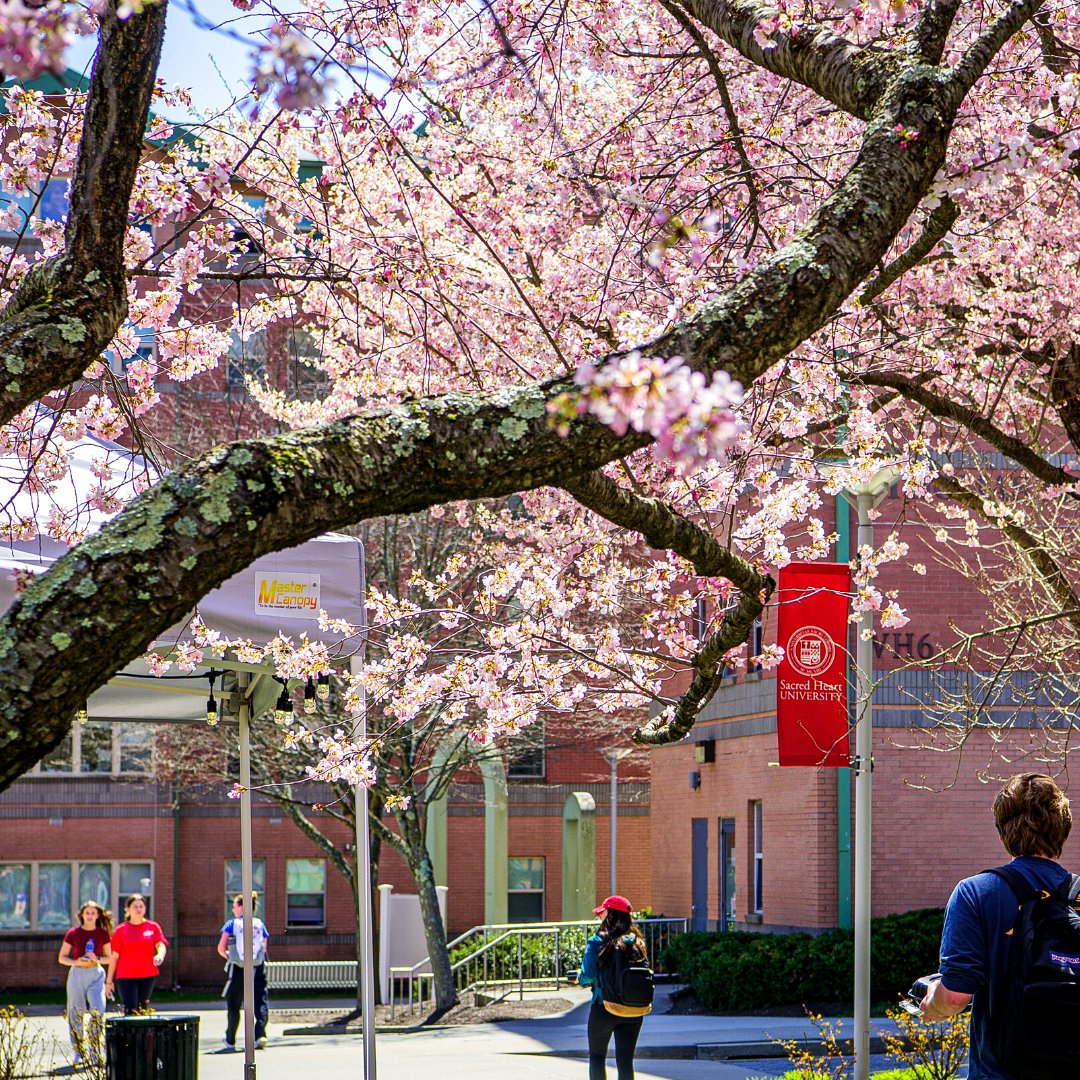 SacredHeartAlum's tweet photo. Good morning, Pioneers 🌤️☕ Sending you into this week with a nice #SHUView 🌸 We have a busy week ahead on campus with Senior Week and Commencement, but by the end we will be welcoming a new class into the Alumni Association! 

#SHUAlumni #WeAreSHU #GradSHUation https://t.co/L96kDWhECw