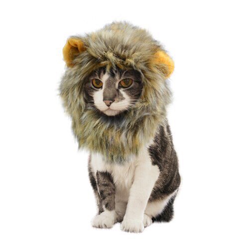 haejel__'s tweet image. #samepic