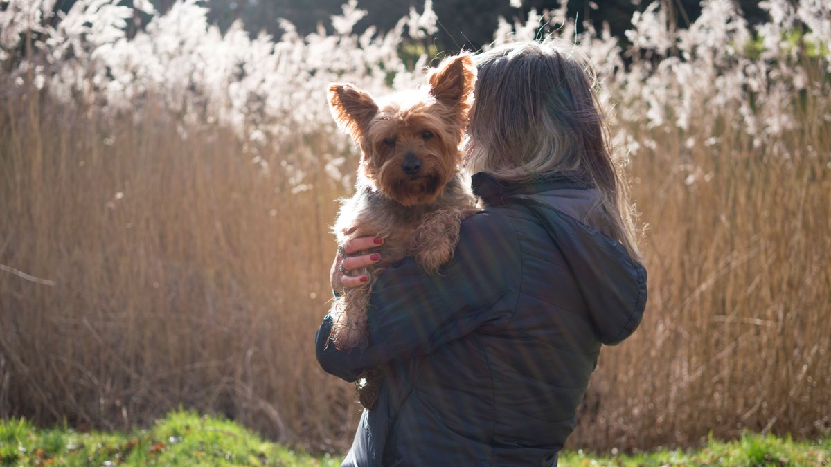 It's #MentalHealthAwarenessWeek, so we're celebrating our pets and all they do to support our physical and mental health. 💙 Research has shown that pets can help people suffering from depression, loneliness and anxiety - they truly transform our lives for the better.