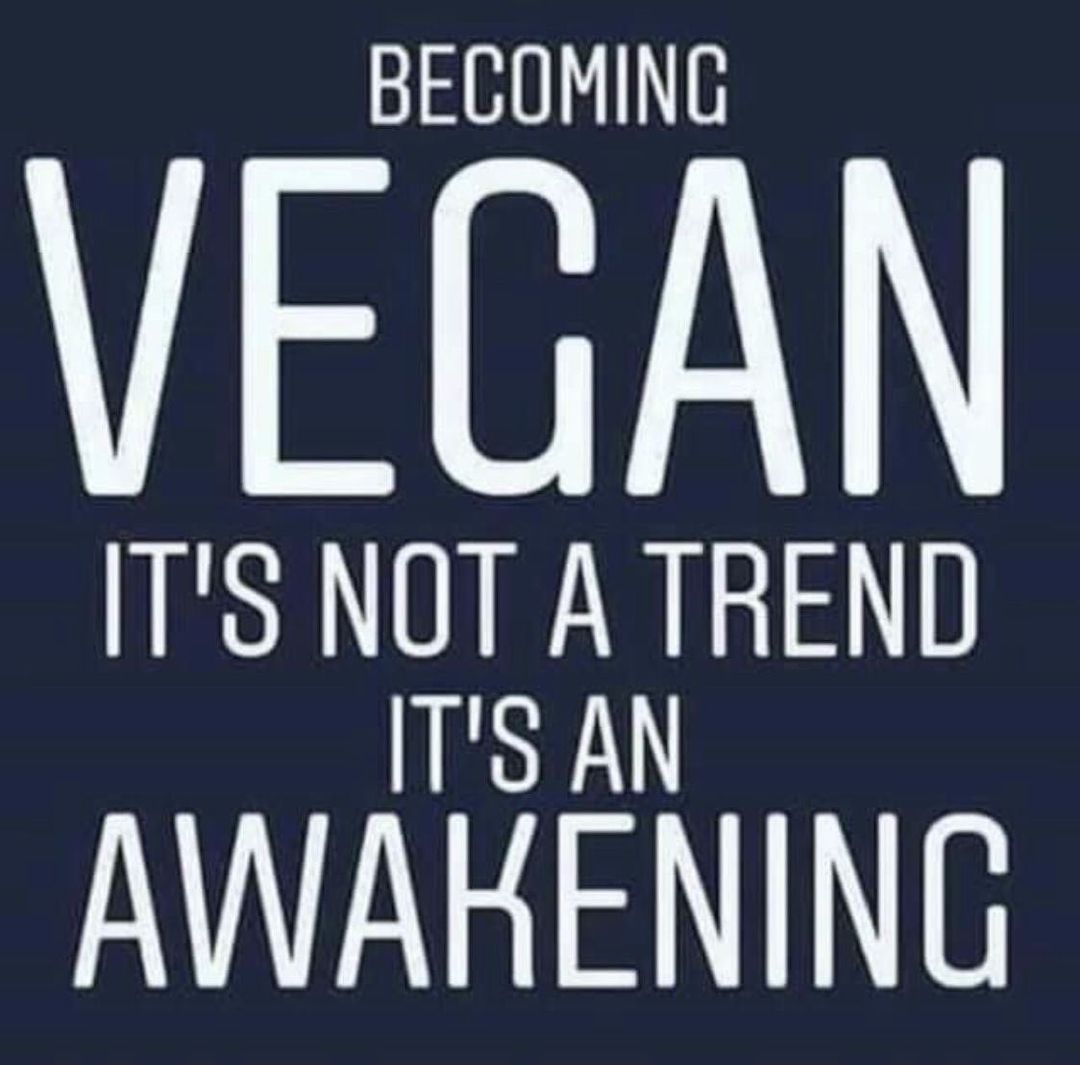 MyVegan_Reach's tweet image. Are you ready to be awakened? #GoVegan