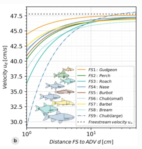 RIBES (@msca_ribes) on Twitter photo New #ecohydraulics paper led by Katharina Bensing and co-authored by RIBES Early Stage Researcher <a href="/ali_hassan738/">Ali Hassan Khan</a> and supervisors: "Fish body geometry reduces the upstream velocity profile in subcritical flowing waters": link.springer.com/article/10.100… New #ecohydraulics paper led by Katharina Bensing and co-authored by RIBES Early Stage Researcher <a href="/ali_hassan738/">Ali Hassan Khan</a> and supervisors: "Fish body geometry reduces the upstream velocity profile in subcritical flowing waters": link.springer.com/article/10.100…