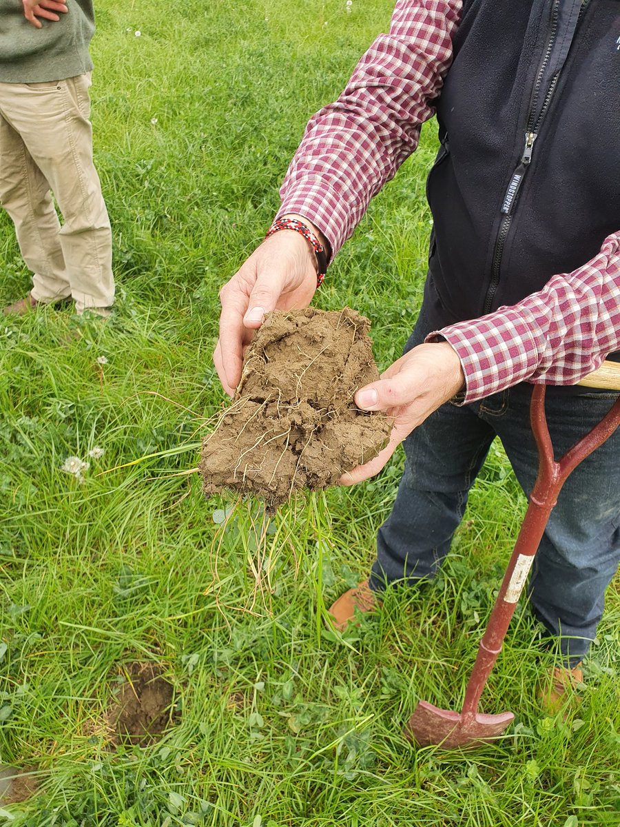 jrdejongodoorn's tweet photo. Samen met @Eric_Kiers een interessante en leerzame dag gehad bij akkerbouwers Pitts van het BASF #Farmnetwork in Engeland. Mooi om te zien hoe zij met kleine ingrepen en ondersteuning van BASF een bijdrage leveren aan biodiversiteit. https://t.co/DRQggNgN8d
