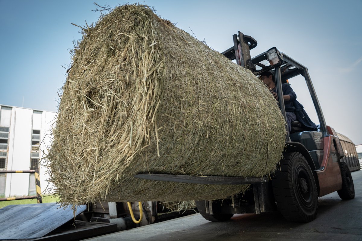 FOURPAWSUSA's tweet photo. #FoodForAnimals in #Ukraine 🇺🇦 The shipment of food has arrived at @ZooKyiv! Our support for Ukrainian zoos continues as the much-needed food will help those #animals who also suffer in wartime. Thank you to everyone who donated and to @unsereOEBB for making this possible 💙💛! https://t.co/GScdx1uHdJ