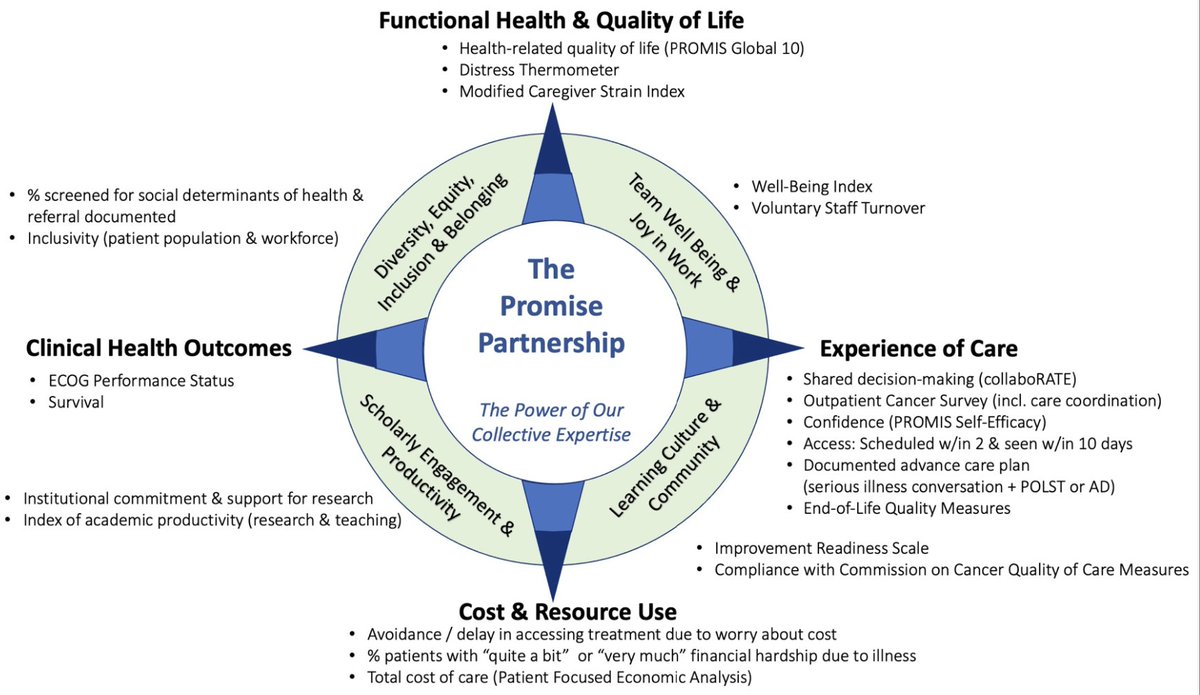 AriccaVC's tweet photo. Prioritizing Measures that Matter Within a Person-Centered Oncology Learning Health System: Introducing a balanced set of measures to monitor and evaluate improvement across multiple domains. https://t.co/fBtuyJ0Dz6 https://t.co/lP3cGSmz3n