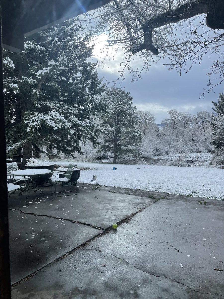 CleanAirMoms_MT's tweet photo. May snow in #Montana makes mamas happy. #MoreSnowPlease #WaterisLife #Rivers #Spring https://t.co/hBov5GKrvp