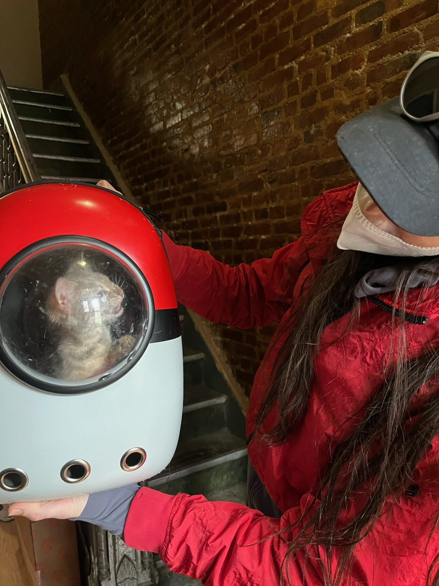 chris xu tweet media