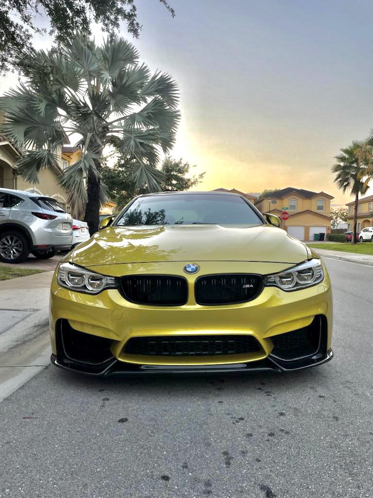 DannyGezz's tweet image. The Sunshine State ☀️☀️