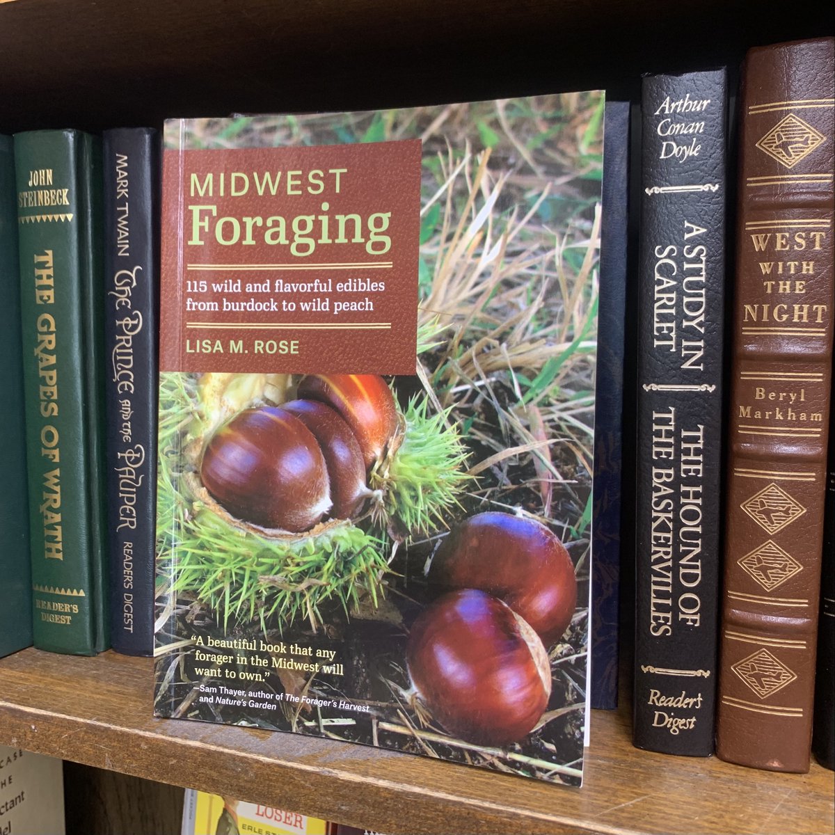 115 Wild and Flavorful Edibles from Burdock to Wild Peach Midwest Foraging 