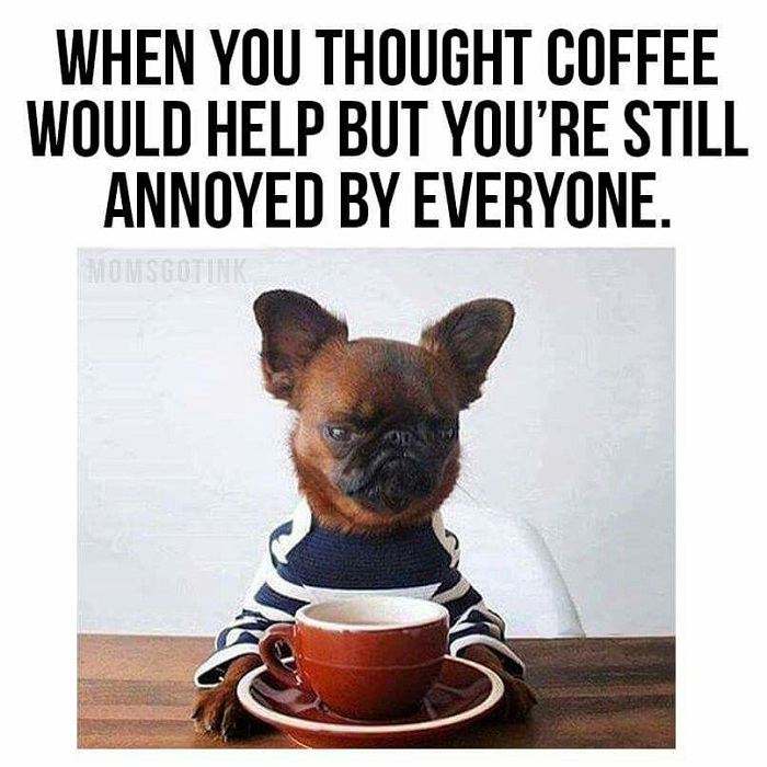 Carrie_D_Miller's tweet photo. Yep, that's my face. #truth #coffeebeforeanythingelse #nopeopletoday https://t.co/LIkOrPBh80