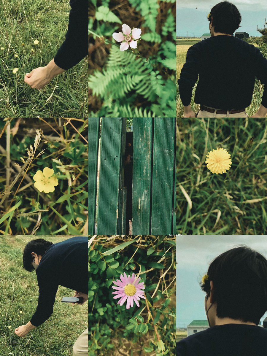 taeteland's tweet photo. kim taehyung is so warm 🌼♥︎ https://t.co/mmv2tkZYHO