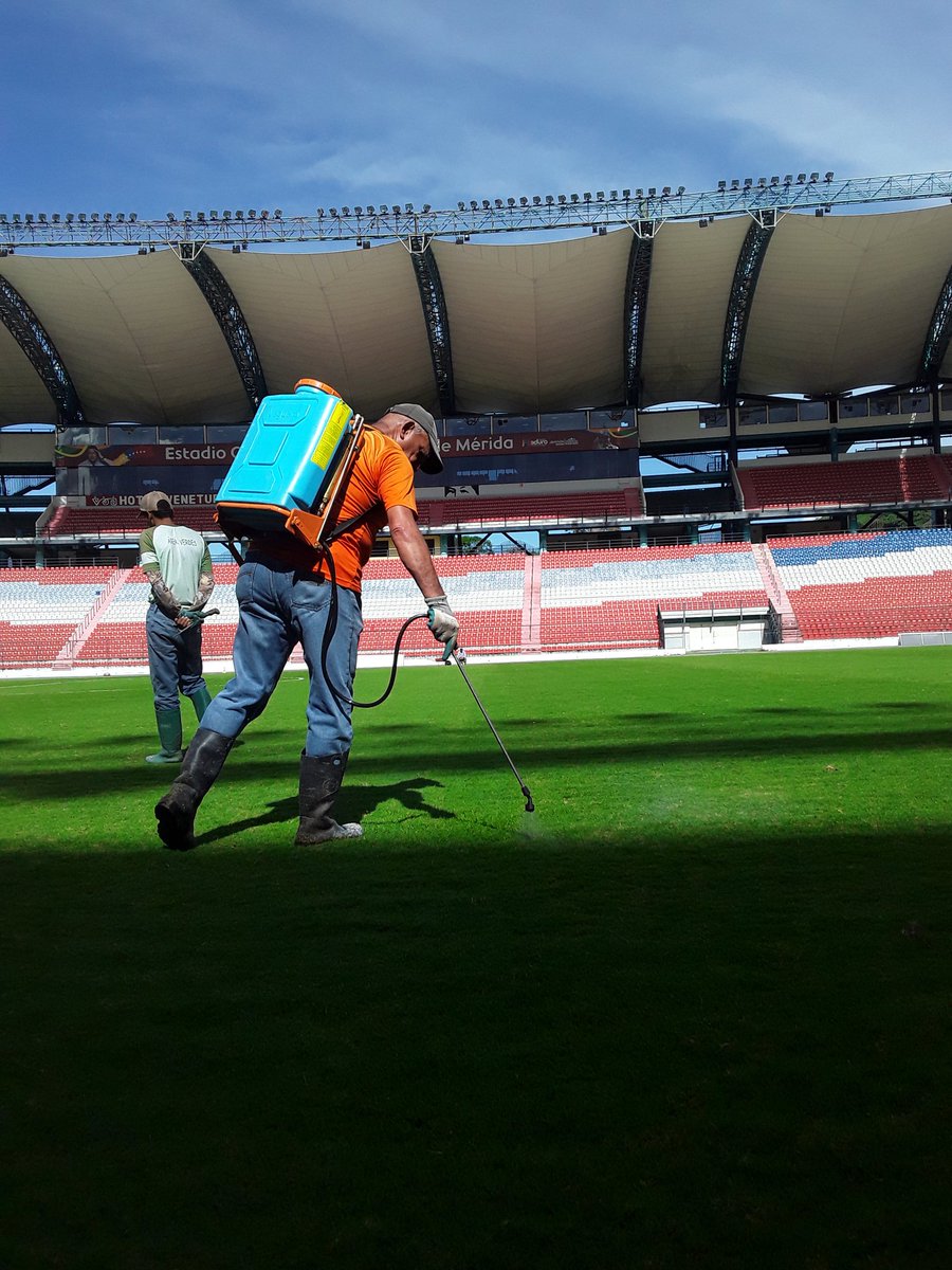 Estadio Metropolitano tweet media