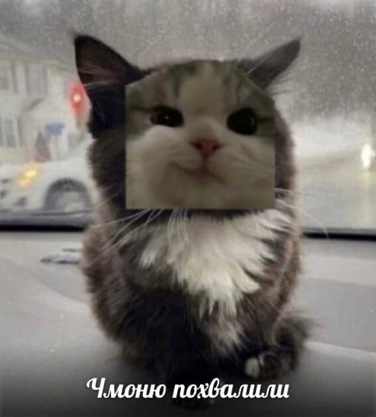 frmaslm's tweet photo. я сегодня на работе: https://t.co/ex0F5FzwV9
