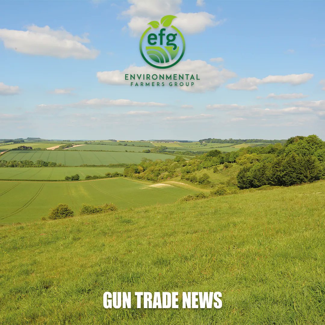 Gun Trade News tweet media