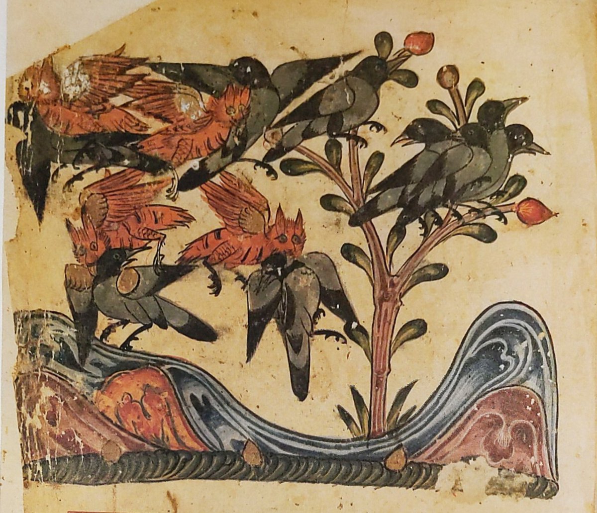 AutotelicTales's tweet photo. 16th century illustration (for Kalila wa Dimna) showing the sneak attack of the #owls on the #crows 🦉
#OwlishMonday
#birdfolklore https://t.co/QAXSkmC589