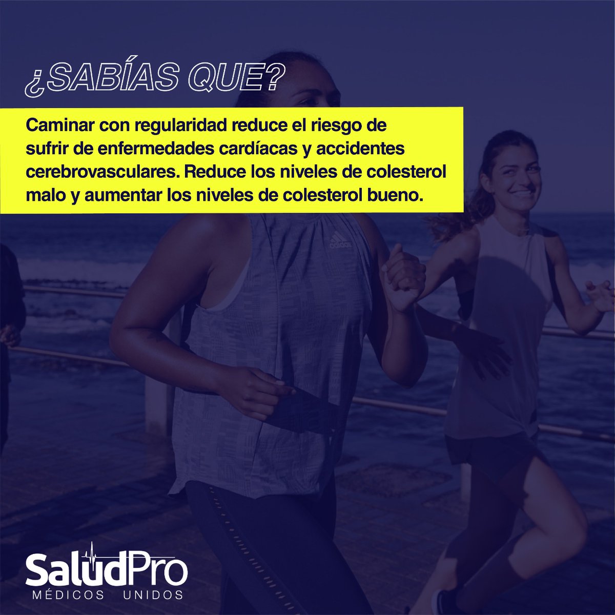 saludprord tweet media